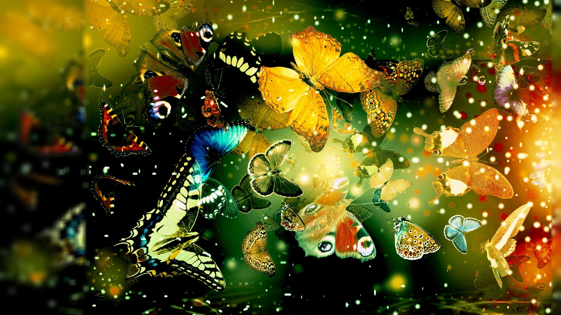 Butterfly Designs HD Wallpaper Unique Nature