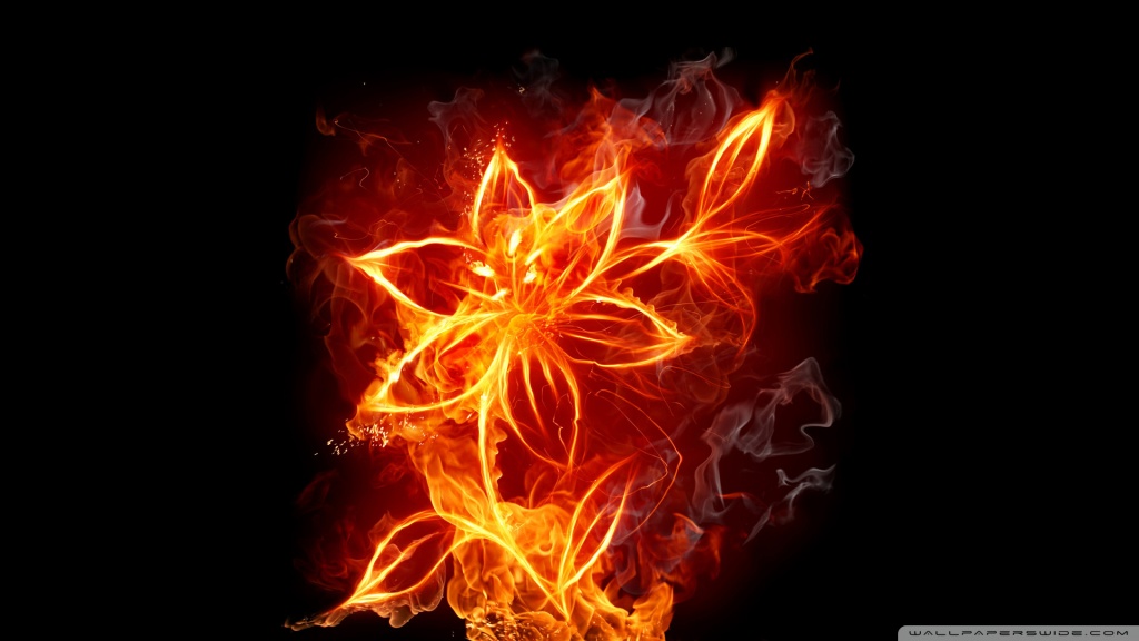  to download attractive fire flowers wallpaper free wallpaper with high