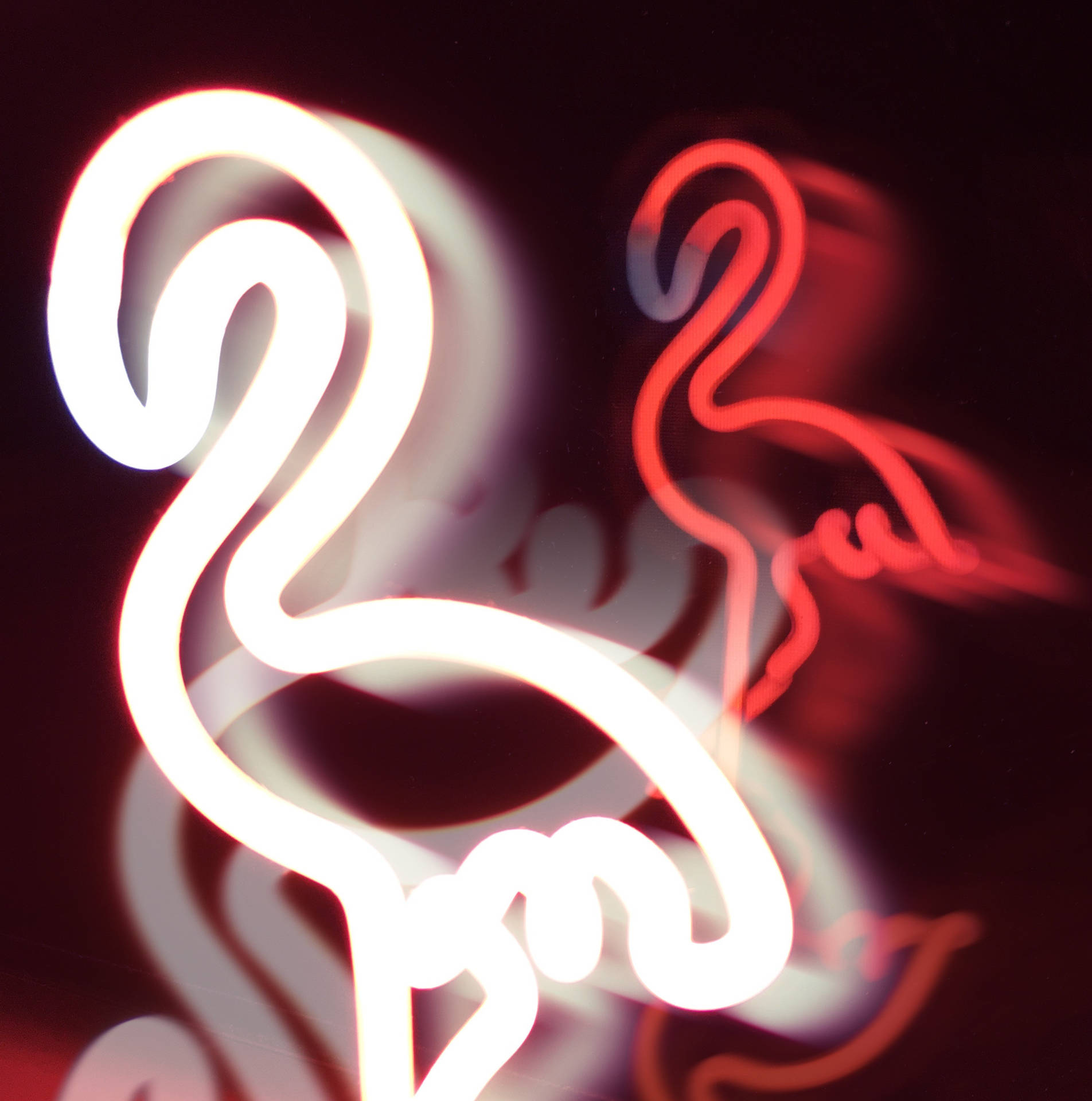 Top White Neon Aesthetic Wallpaper Full HD 4k To Use