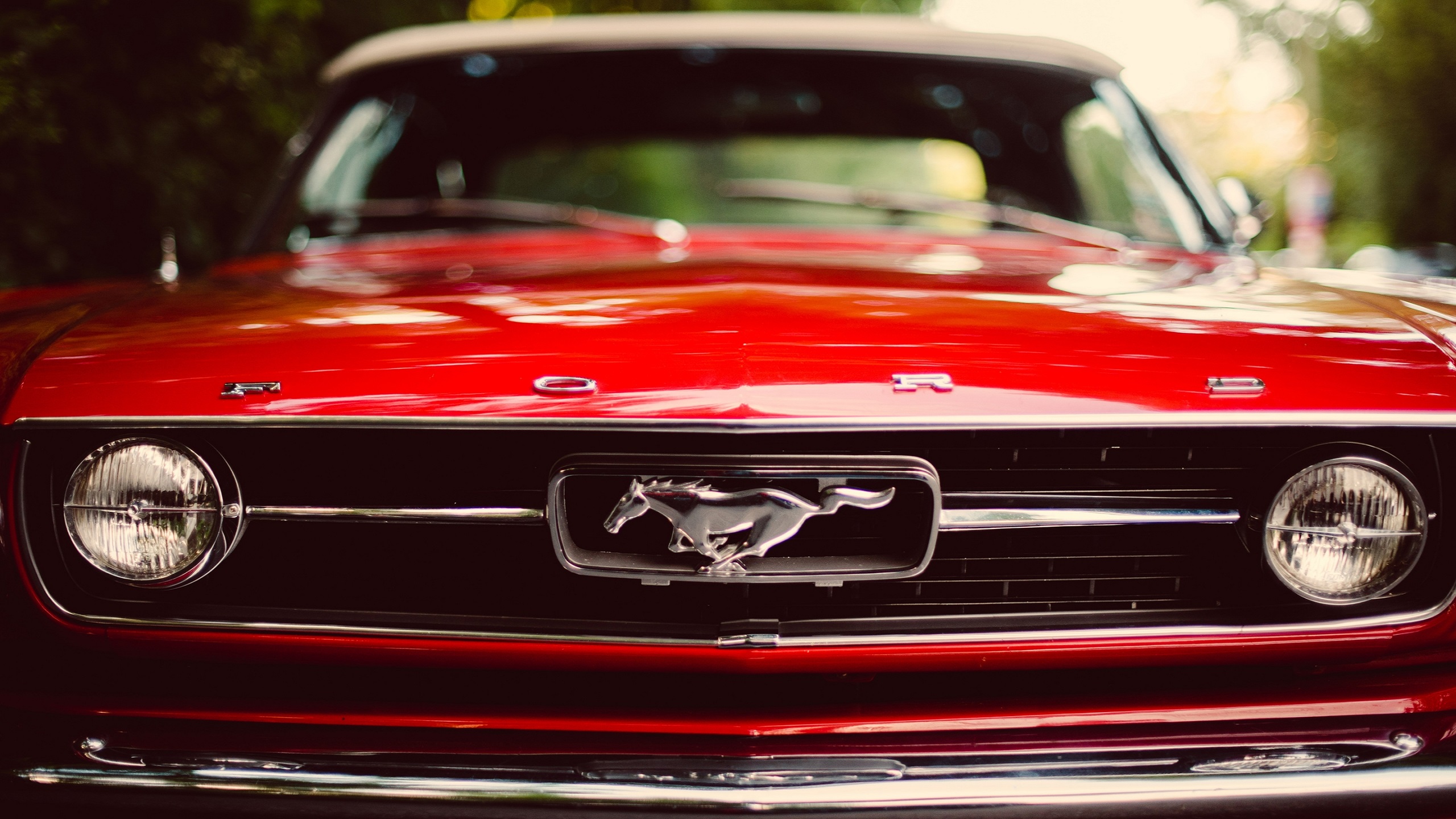 Red Ford Mustang Wallpaper Borrow