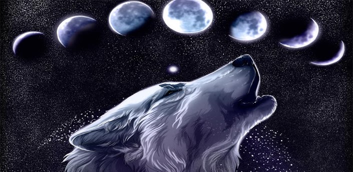 3d Wolf Wallpaper Android Apps Und Tests Androidpit