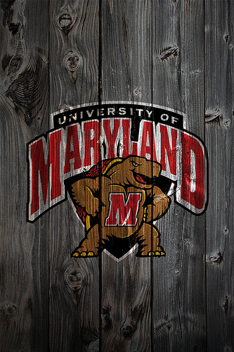 Maryland Terrapins Wood iPhone Background Photo Sharing
