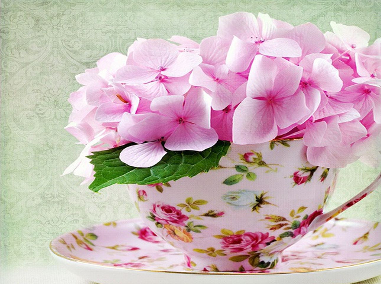 Pretty Flowers Beautiful Beauty Colorful Colors Cup Floral Design