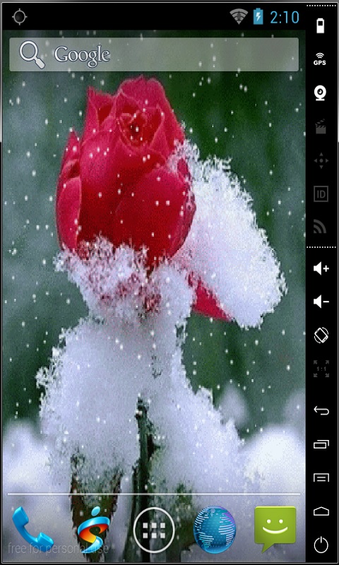 Snowed Rose Live Wallpaper For Your Android Phone