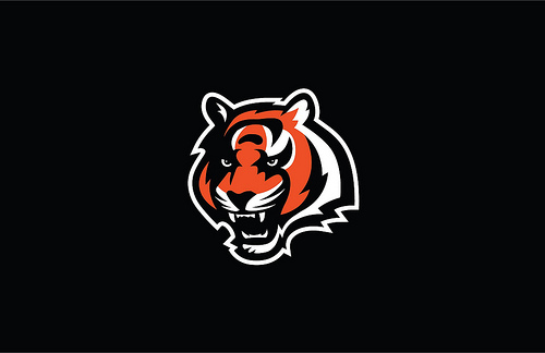 Cincinnati Bengals Logo Desktop Background Flickr   Photo Sharing 500x324