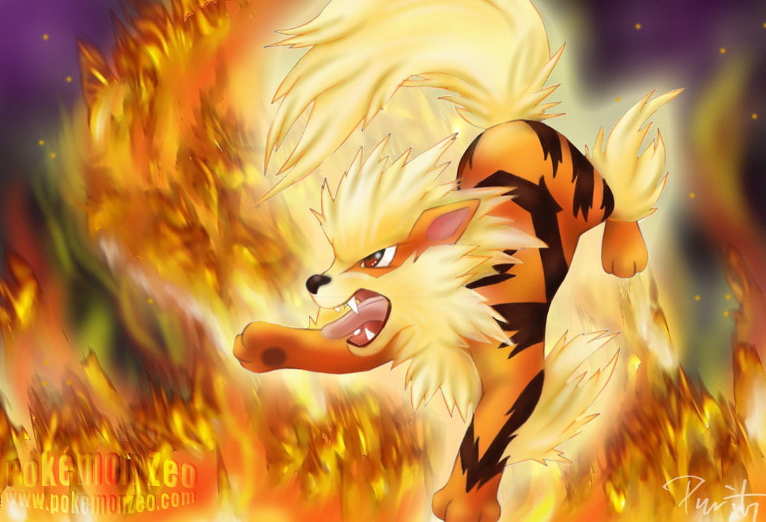 Fire Type Pokemon Image HD Wallpaper And