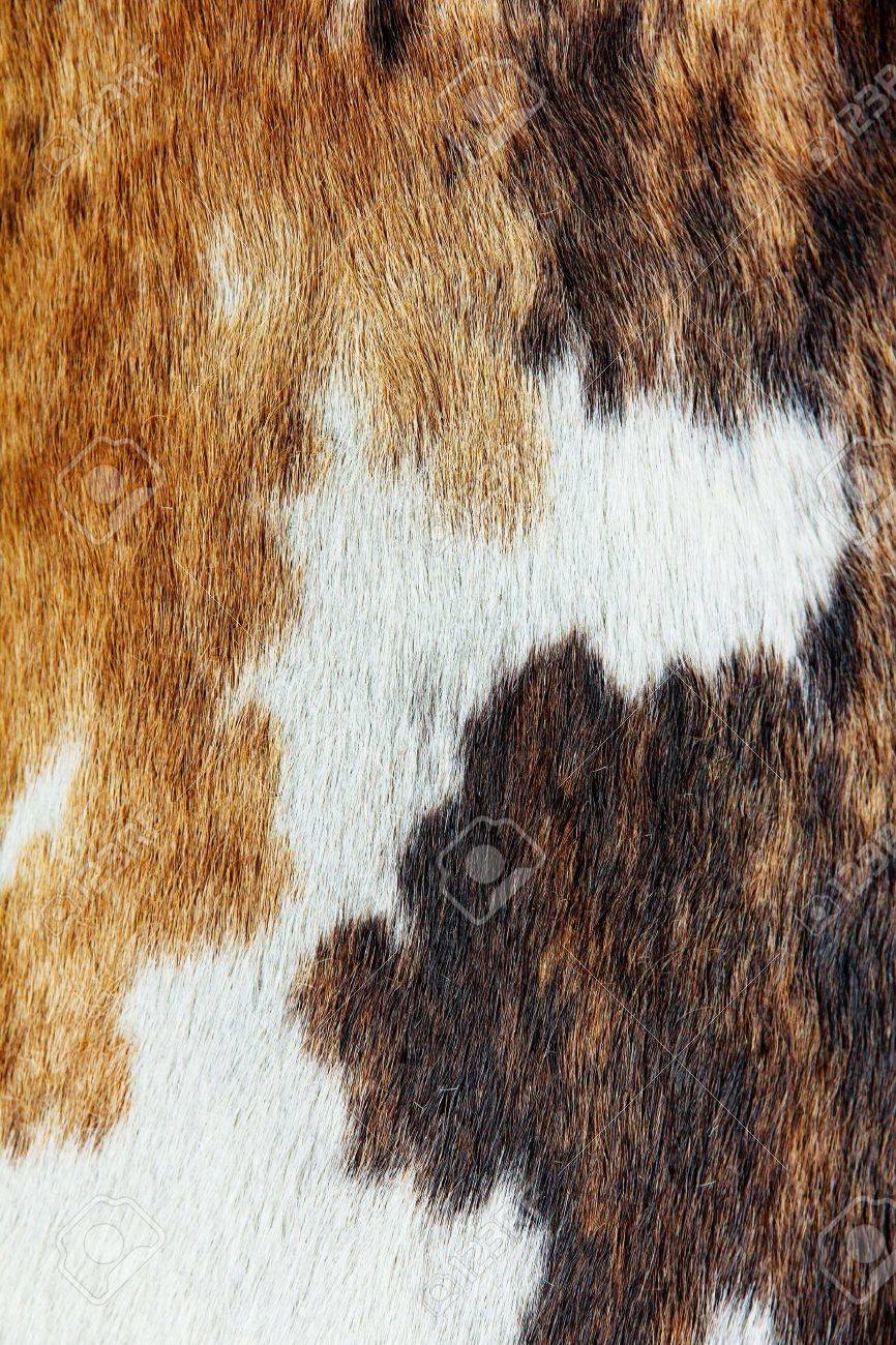 Cowhide Fabric Wallpaper and Home Decor  Spoonflower