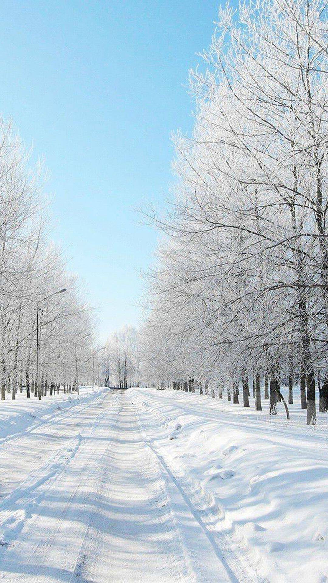 Winter Wallpaper iPhone