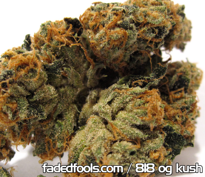 Og Kush Medical Marijuana Dispensary Weed Wallpaper