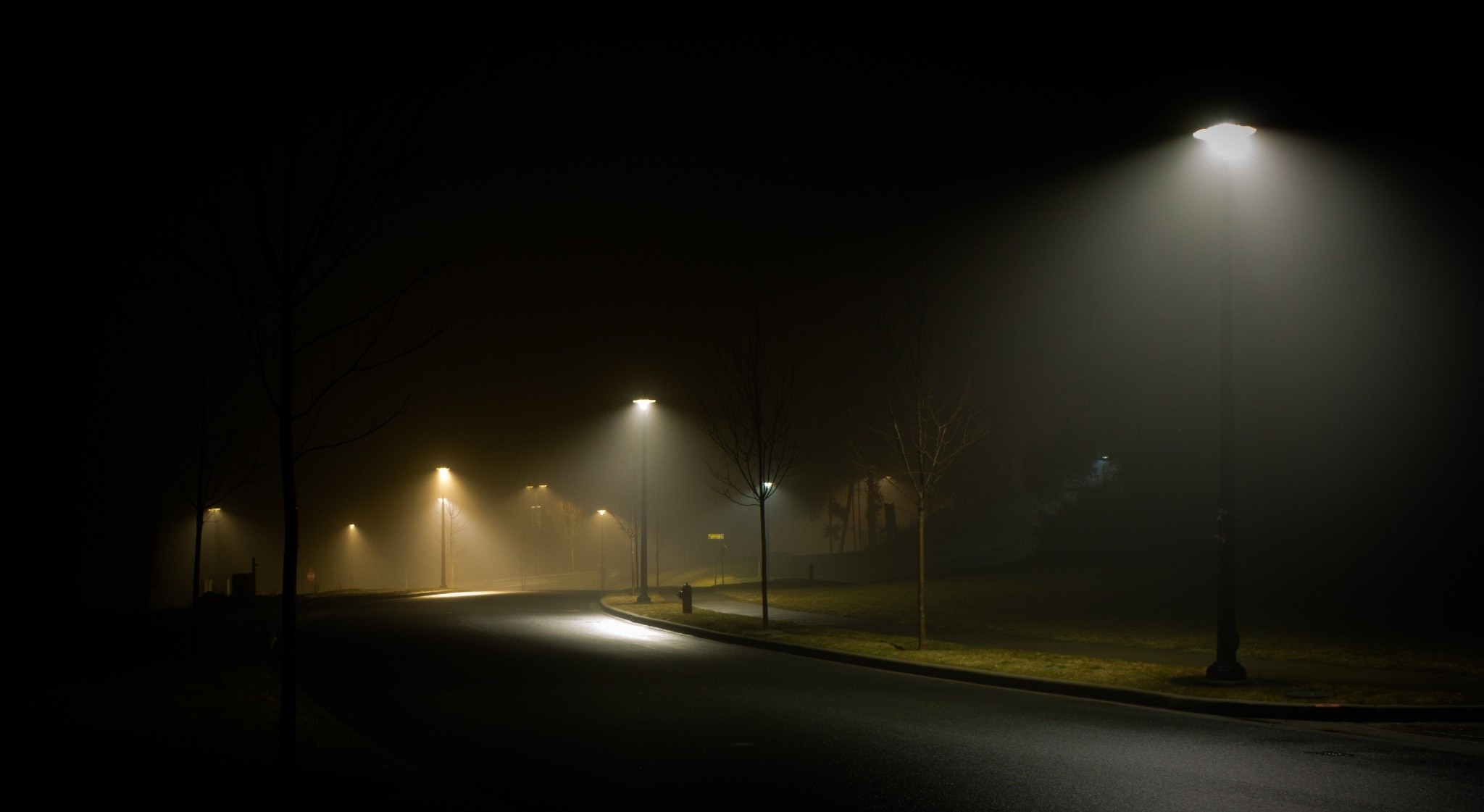 Landscape Nature Street Night Light Mist Grass Spring Wallpaper