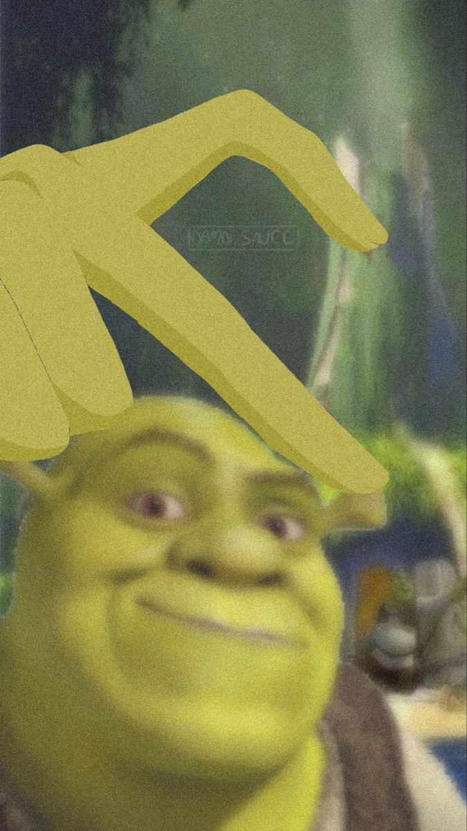 Shrek memes HD wallpaper  Pxfuel
