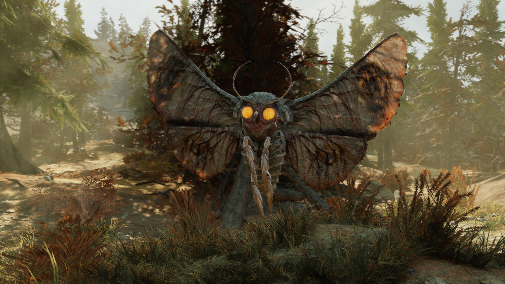 Mothman Fallout