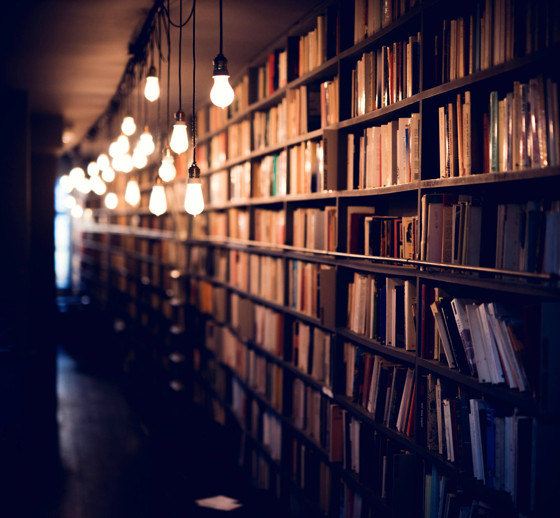A dimly lit library with shelves full of books and a string of vintage light bulbs hanging from the ceiling