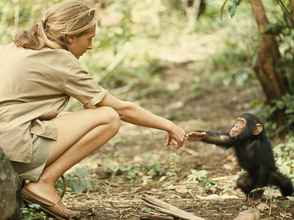 At Years Young Jane Goodall Still Ignites The