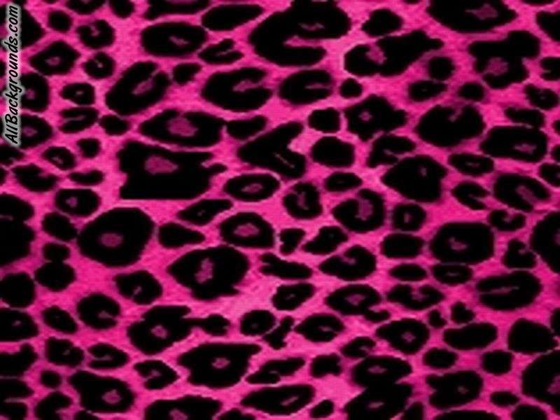 Pink Cheetah Background Myspace