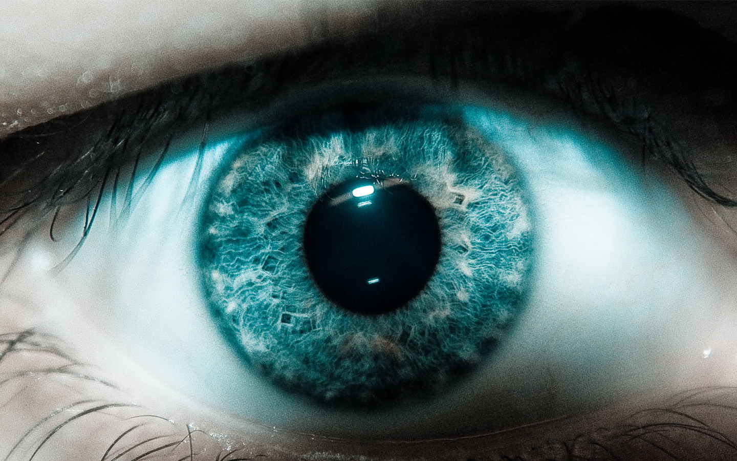Scary Eye Wallpapers   HD Wallpapers 29128