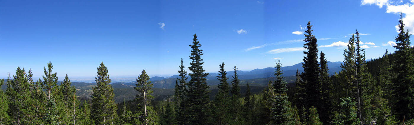 Colorado Forests Linkedin Background Get Some Inspiration