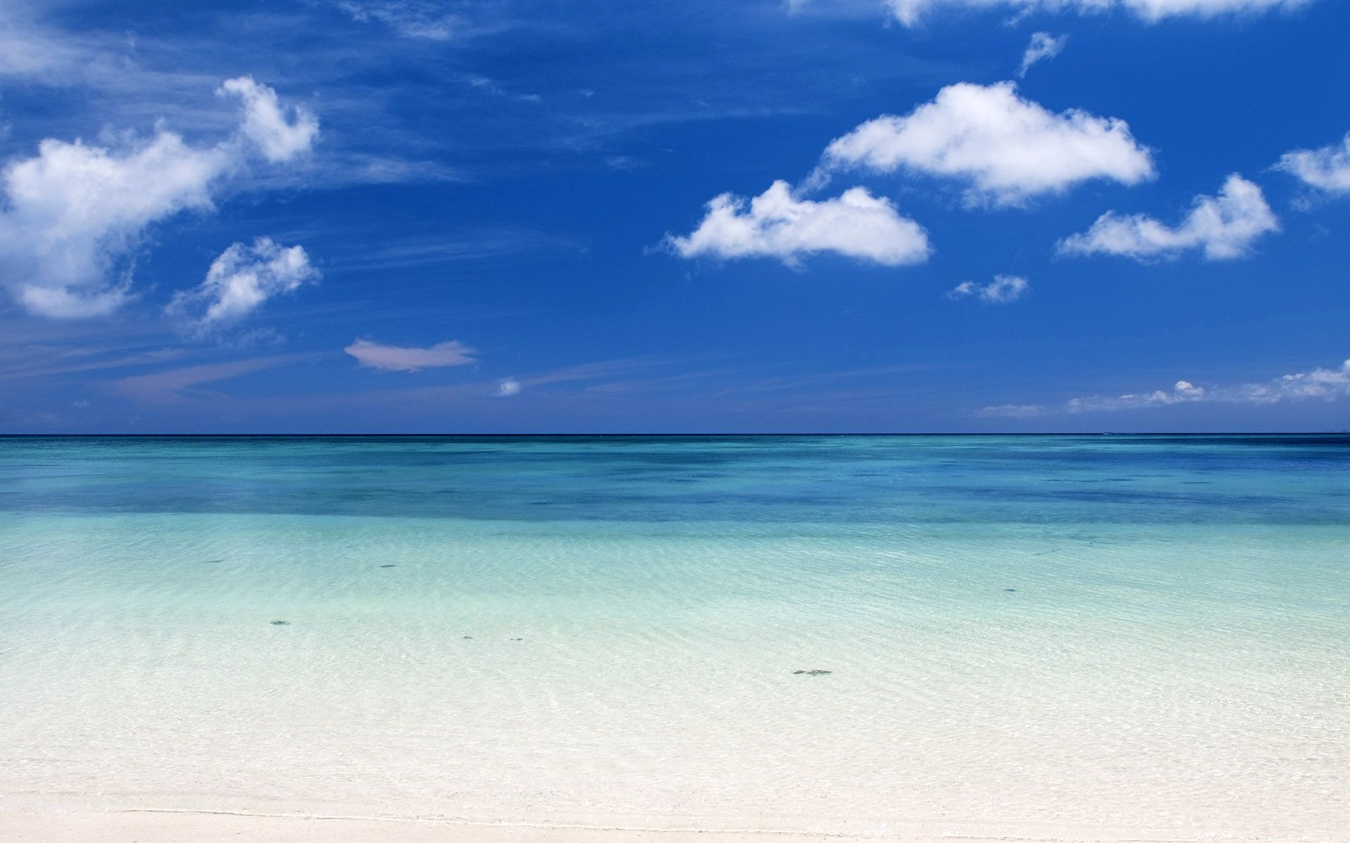 Beautiful Caribbean Beach High Resolution Windows Wallpaper HD