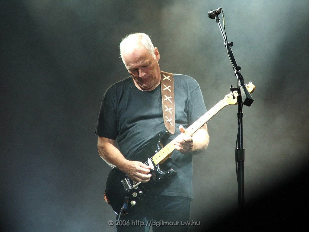 Wallpaper David Gilmour Filesize X559