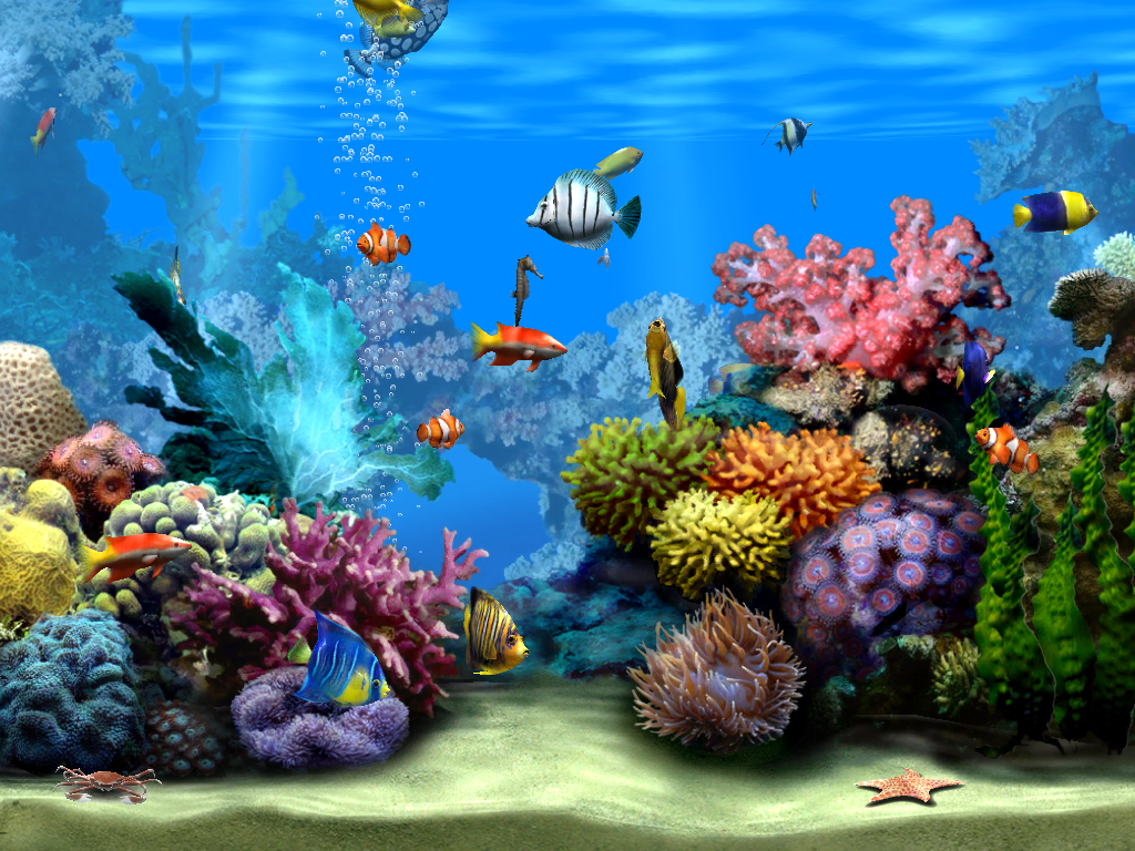 3D Live Wallpapers For Mobile For Touch Screen Free Download : Download