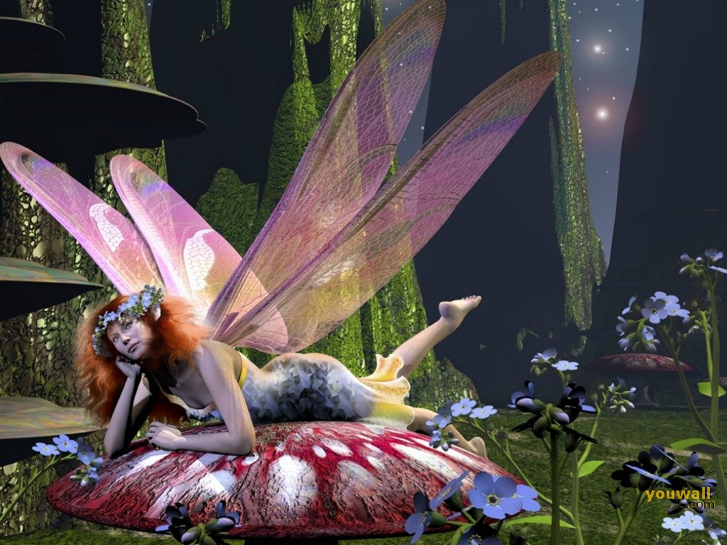 Youwall Fairy Wallpaper Photo