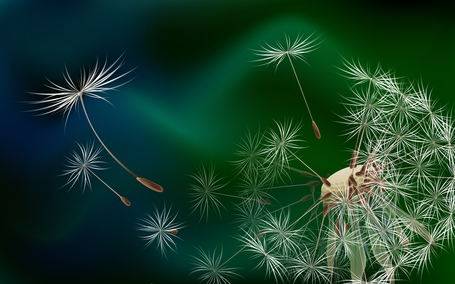 The seeds of a dandelion wallpapers and images   wallpapers pictures