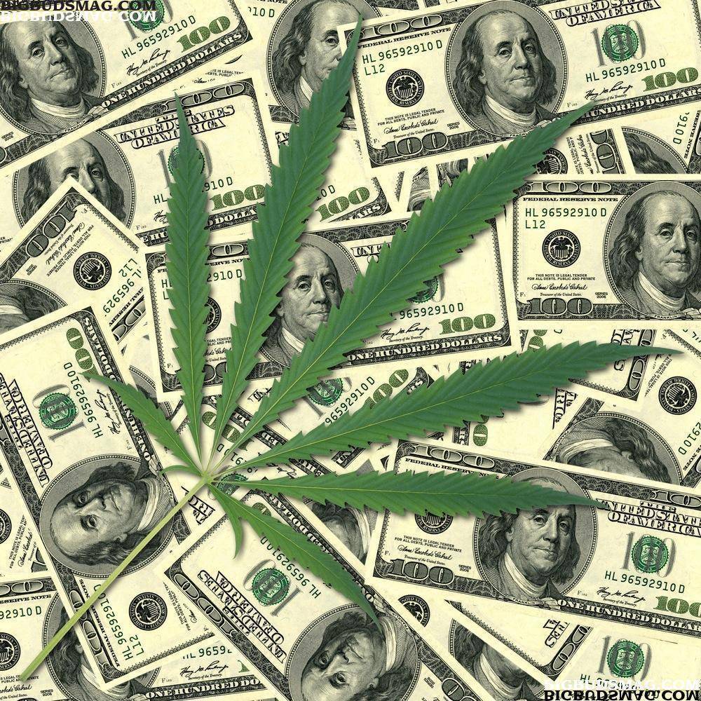 Cool Money And Weed Background