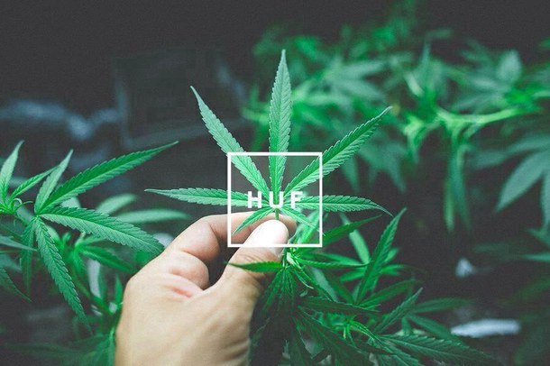 Huf Love Weed Image By Lady D On Favim