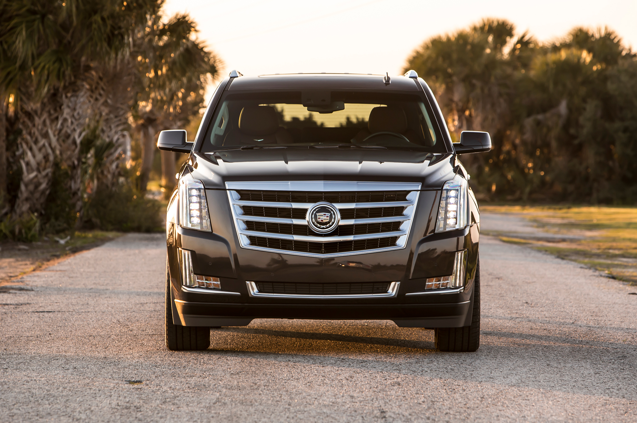 Cadillac Escalade Whit HD Wallpaper Background Image