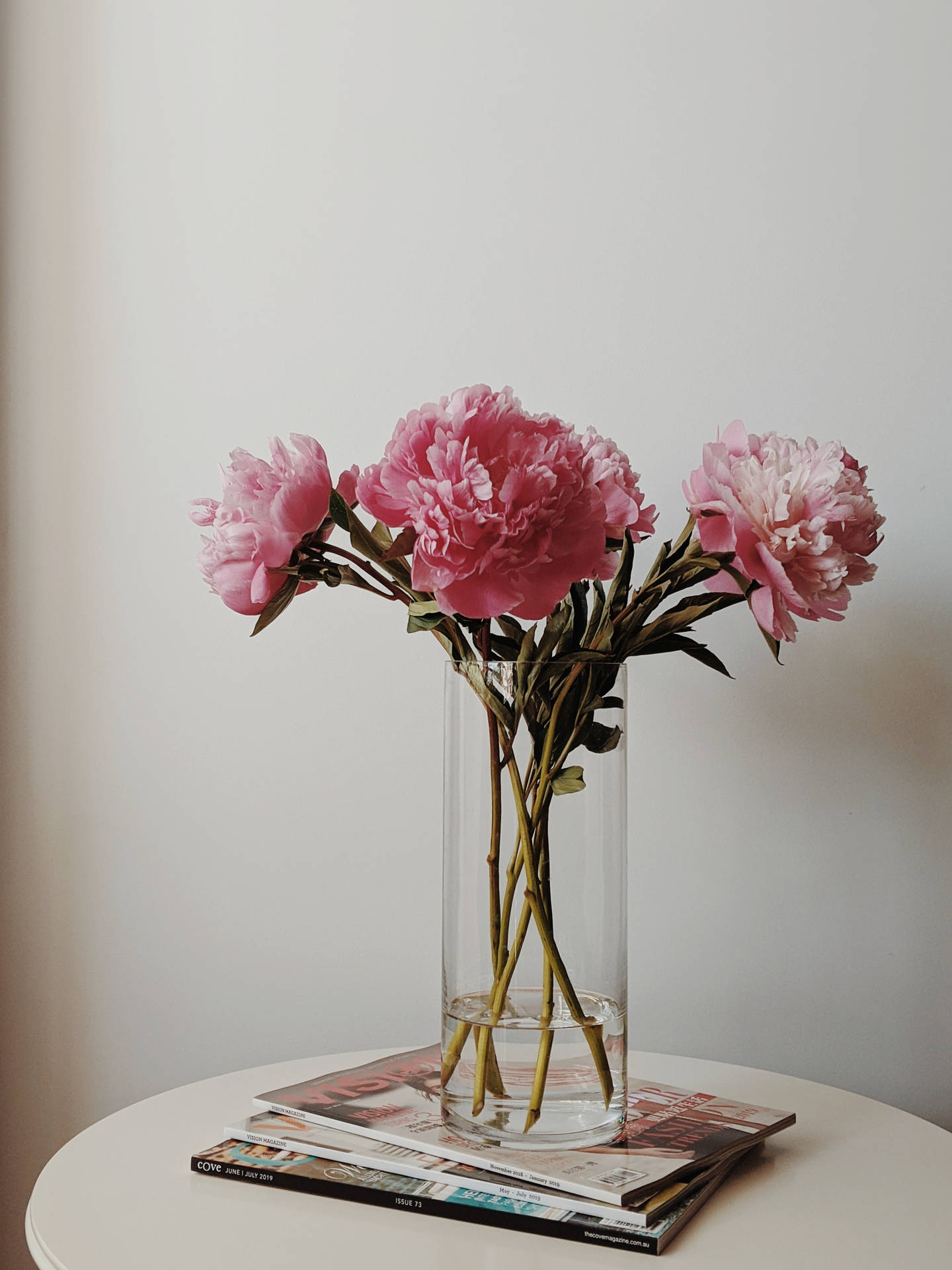 Pink Flowers Aesthetic Wallpaper
