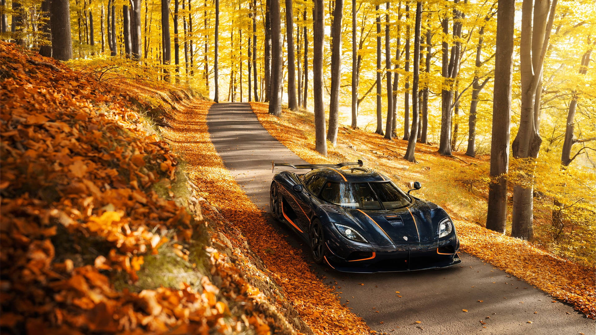 Black Car HD Autumn Herldq1nem47p6ai Wallpaper