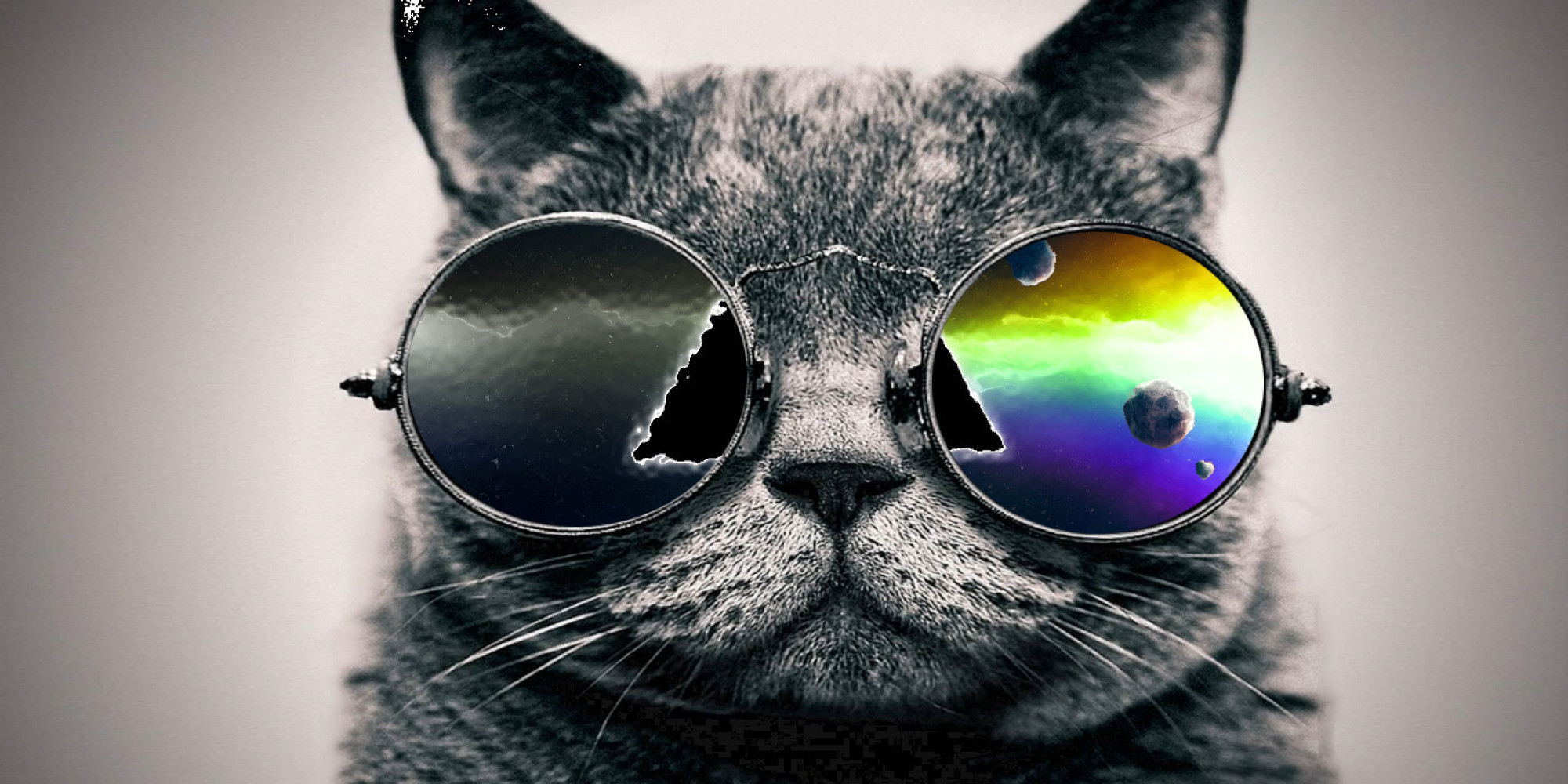 Cool Cats On Google