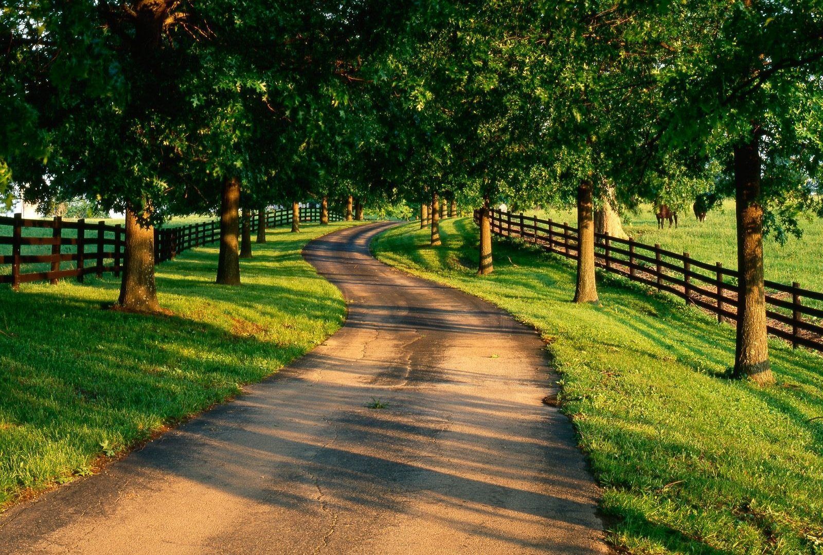 HD Ranch Wallpaper