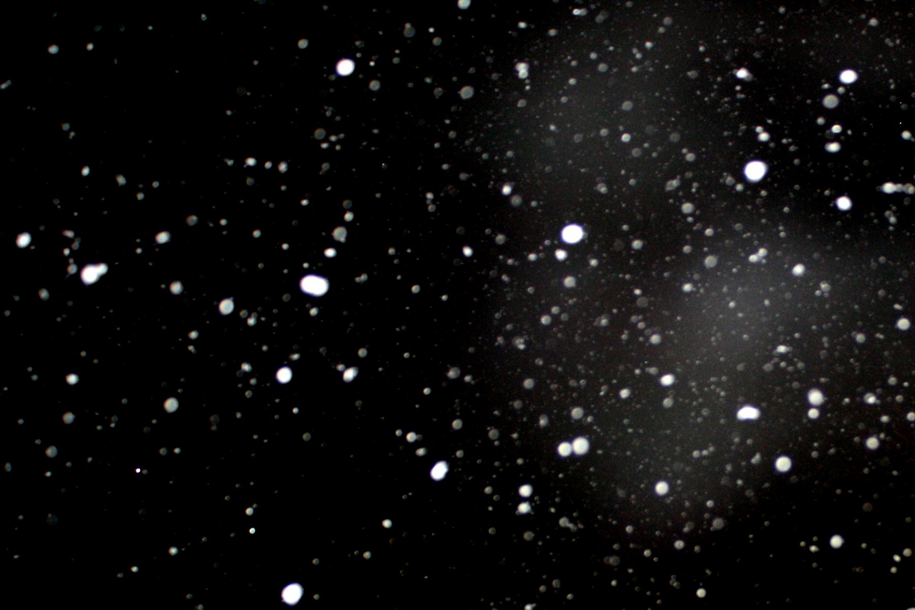 Falling Snowflakes In The Dark Background Image