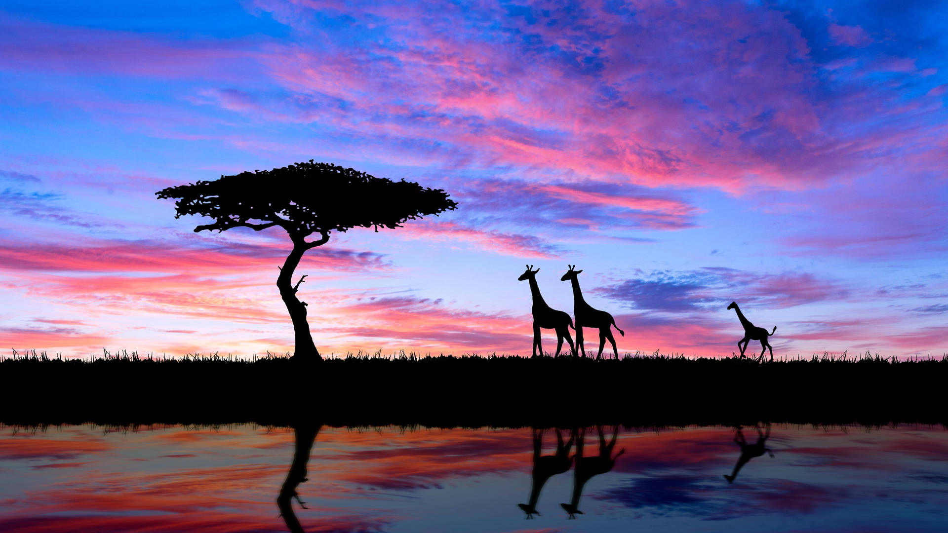African Animals Wallpaper
