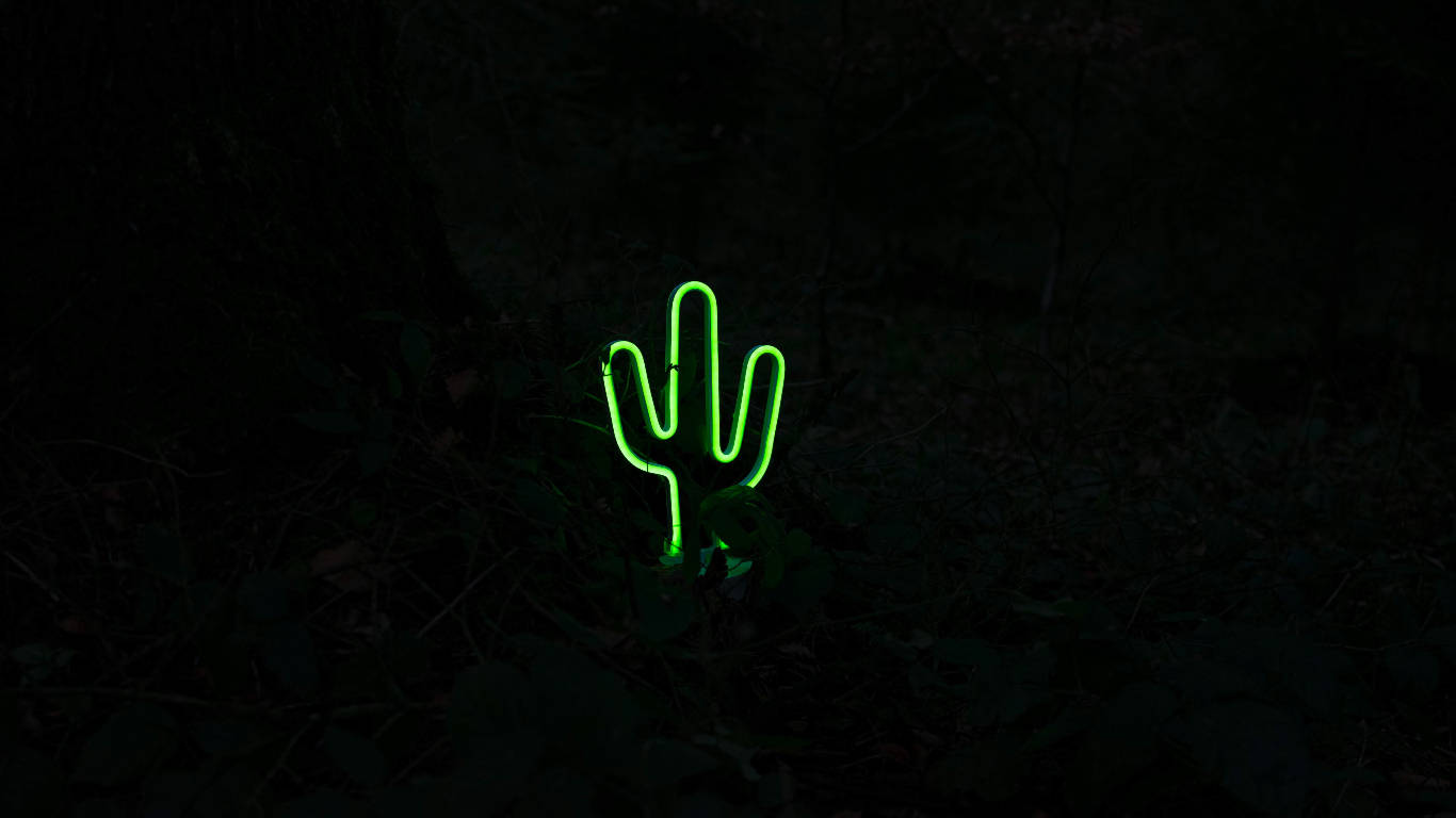 Top Neon Green Aesthetic Wallpaper Full HD 4k To Use
