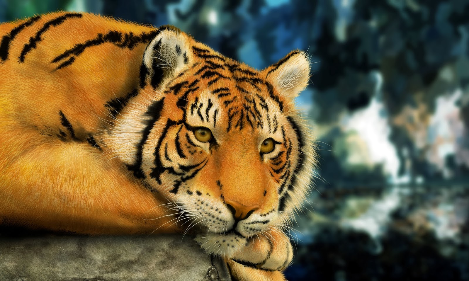 Any One Royal Bengal Tiger HD Wallpaper