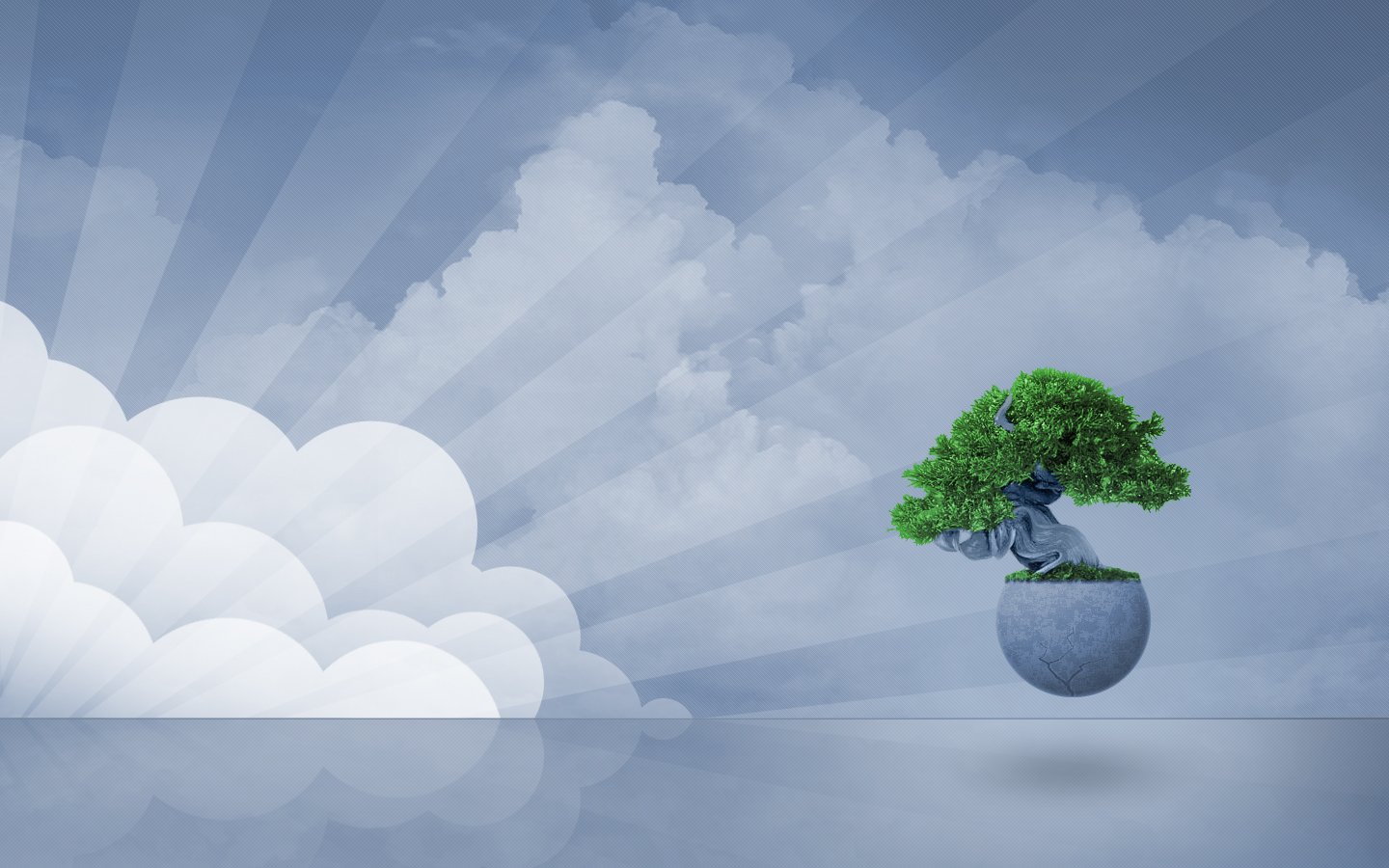 Wallpaper Box Bonsai Zen Tree Background HD