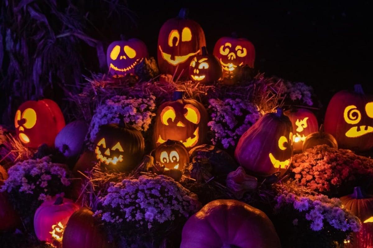 Find Jack O Lanterns At Beverly S Halloween On The Hill