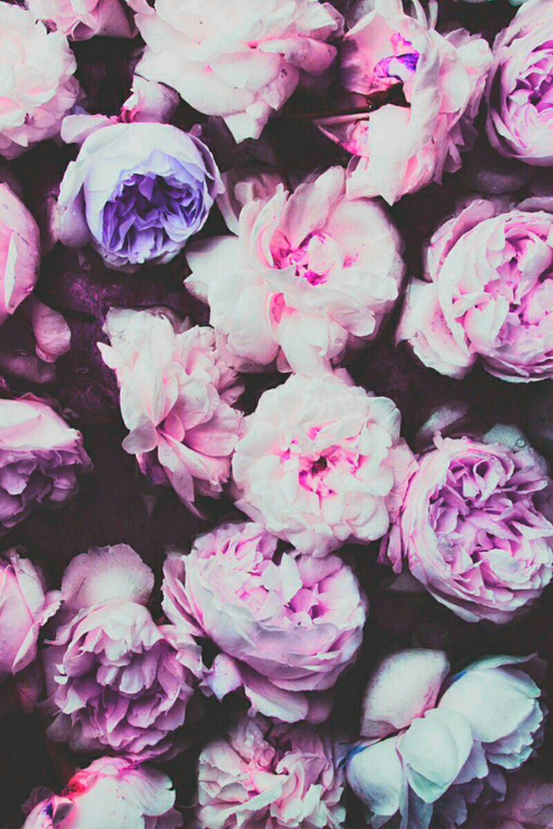 flowers hipster indie iphone wallpaper nature night pink retro