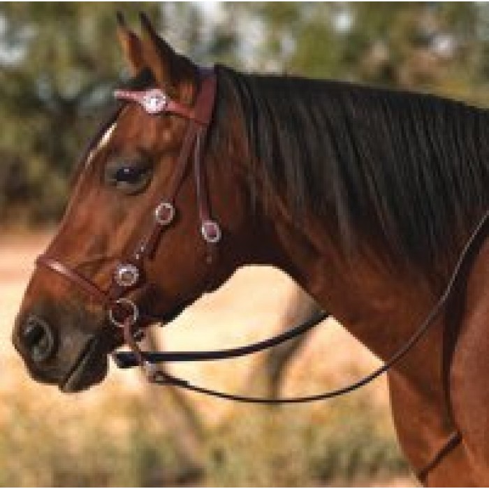 bridles bitless bridle riding western leather bitless bridle Search