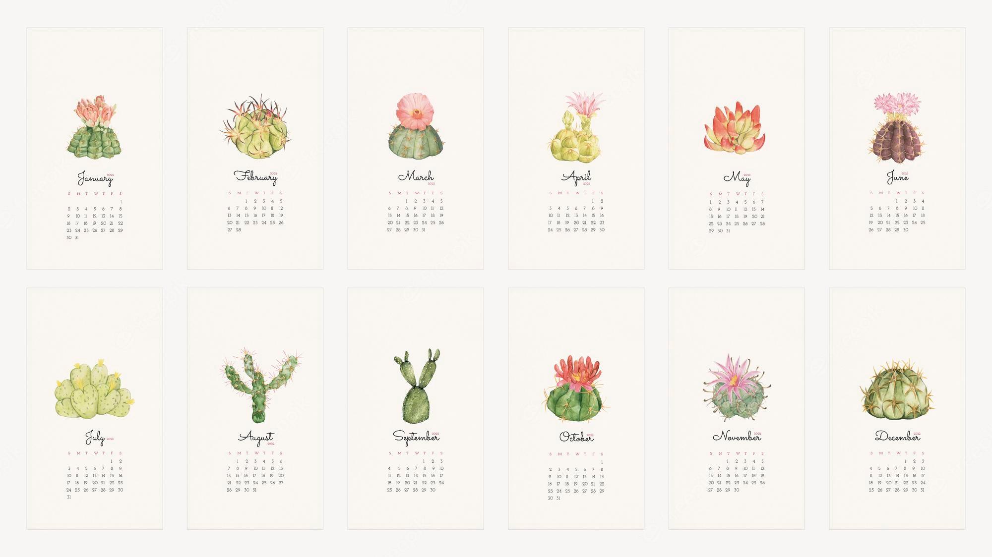 Free Vector Botanical 2022 monthly calendar template cactus