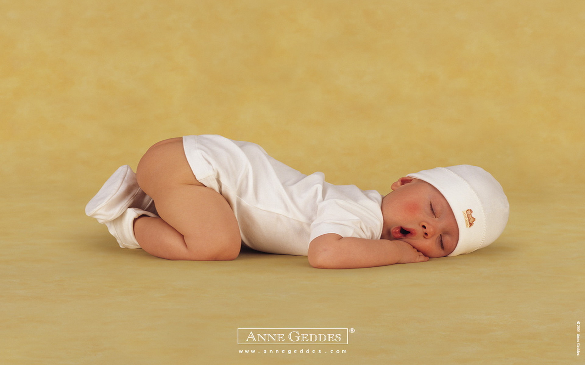 Anne Geddes Christmas Babies Wallpaper Png Image Pngio
