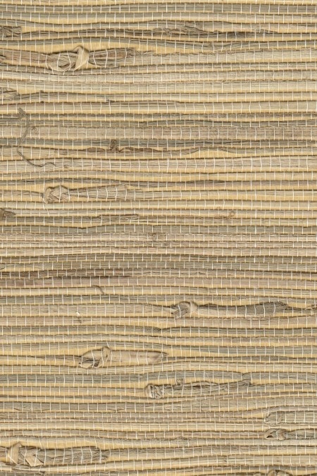 Seagrass Grasscloth Wallpaper One Wall In The House Will Get Grass