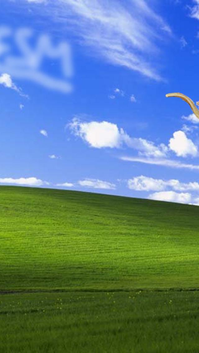 Flying Spaghetti Monster Windows Background Theme Mobile Resolutions