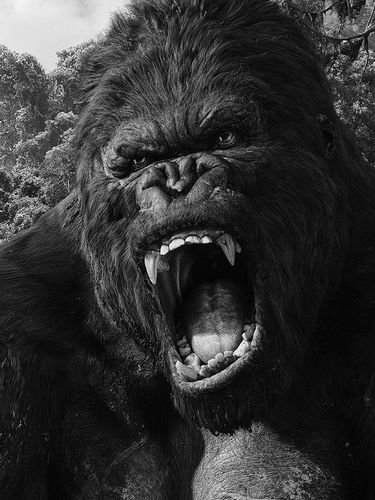 King Kong Roar For Amazon Kindle