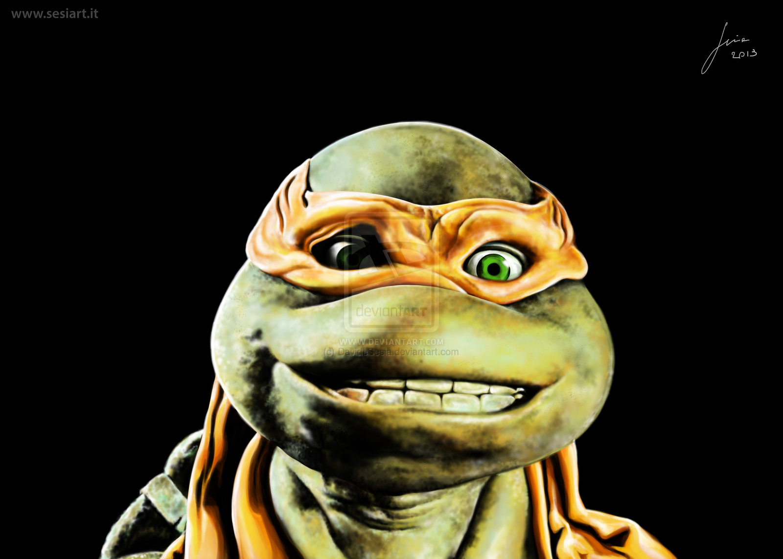 Michelangelo Ninja Turtle Submited Image