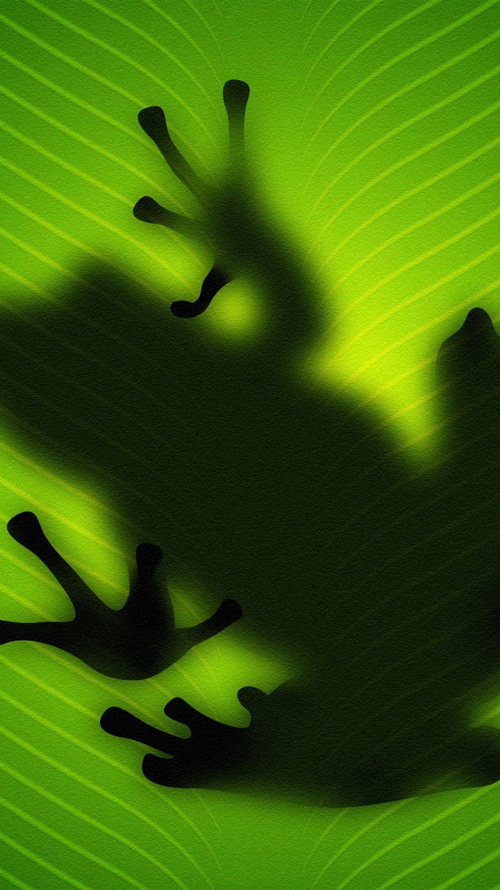 Blackberry Z30 Wallpaper Frog Reflection
