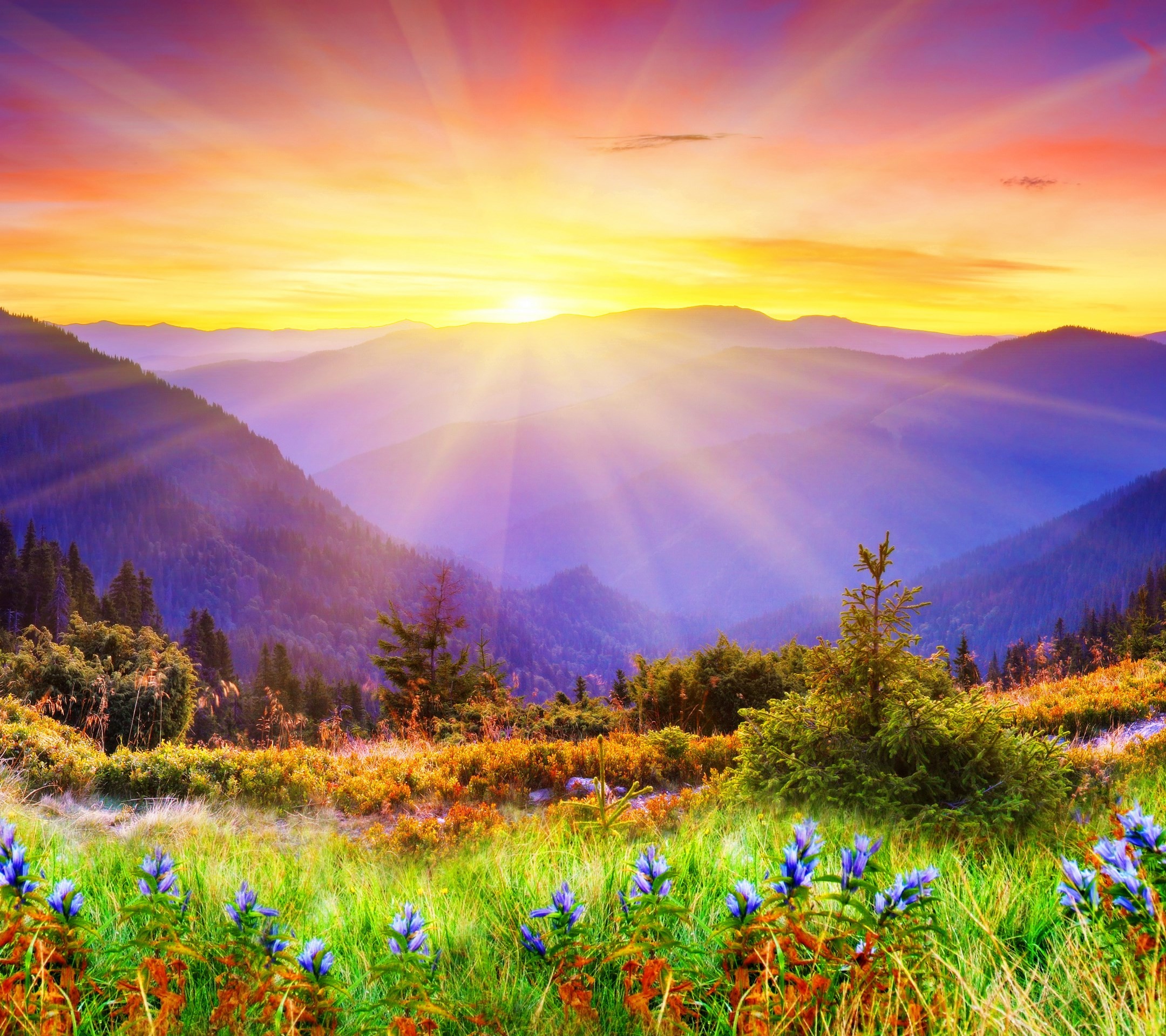 HD Wallpaper For Tablets