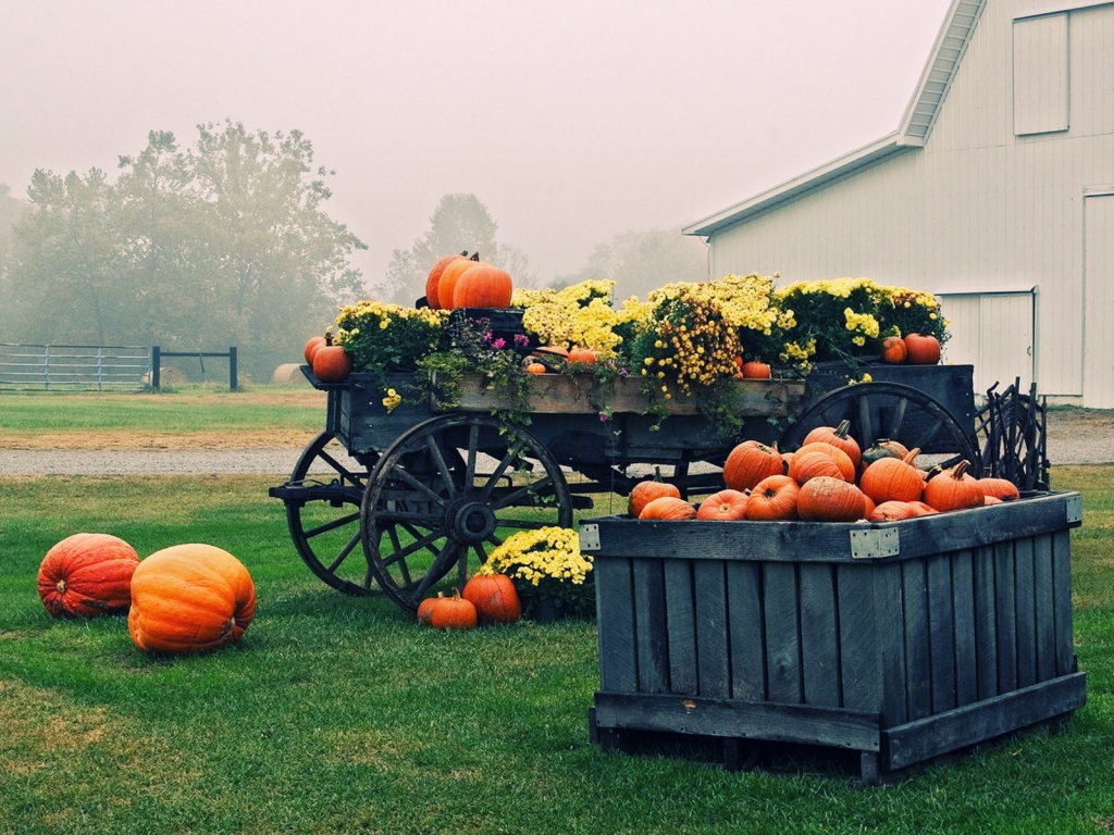 Countryside Halloween HD Wallpaper Widescreen